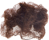 Hair Nets