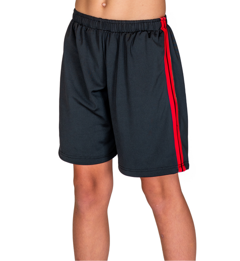 Hip Hop Shorts-Stripes Adult