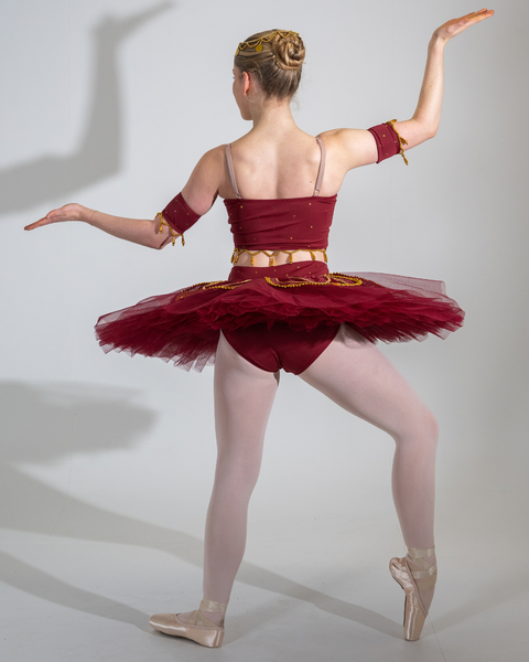 Jasmine Tutu Adult