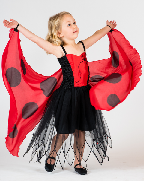 Ladybird Fairy