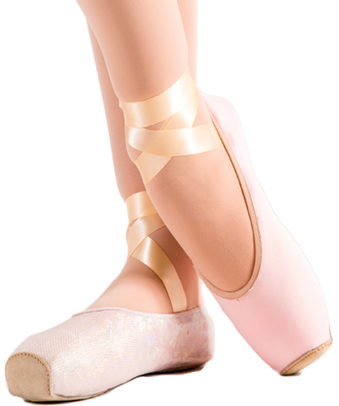 Pointe Shoe Covers