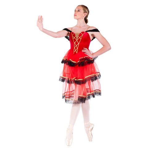 Spanish Rose Tutu Child