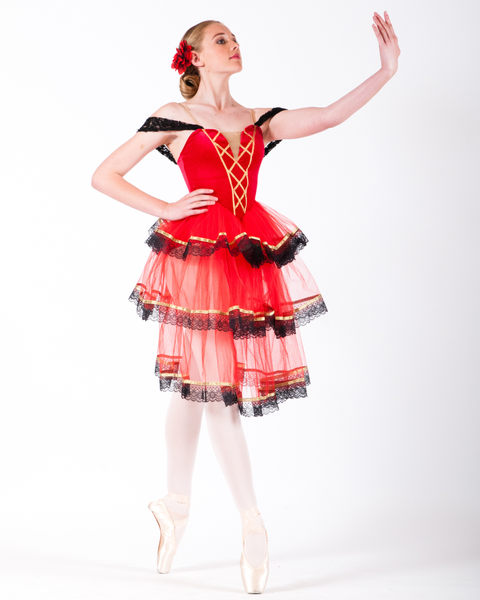 Spanish Rose Tutu Child