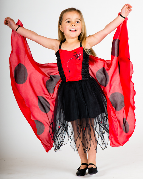 Ladybird Fairy