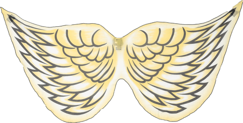 Bird Wings Cockatoo Child