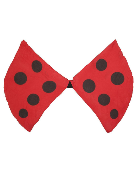 Ladybug Wings Child